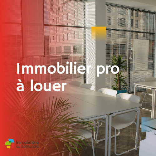 Local professionnel à louer